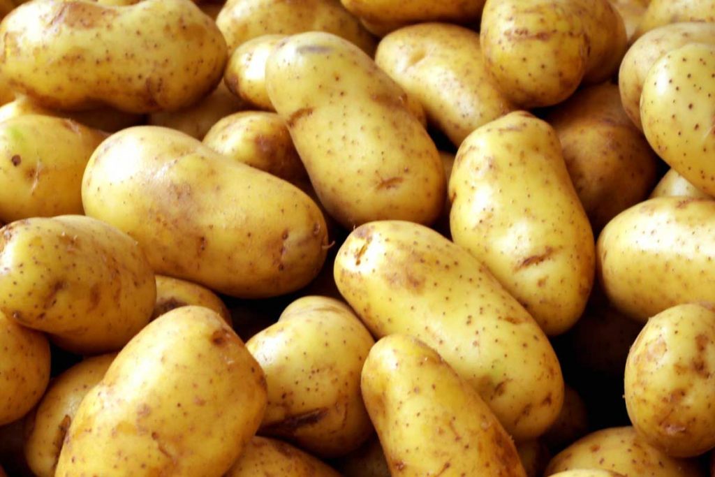 Profesor: – Copii, ce sunt vegetarienii?