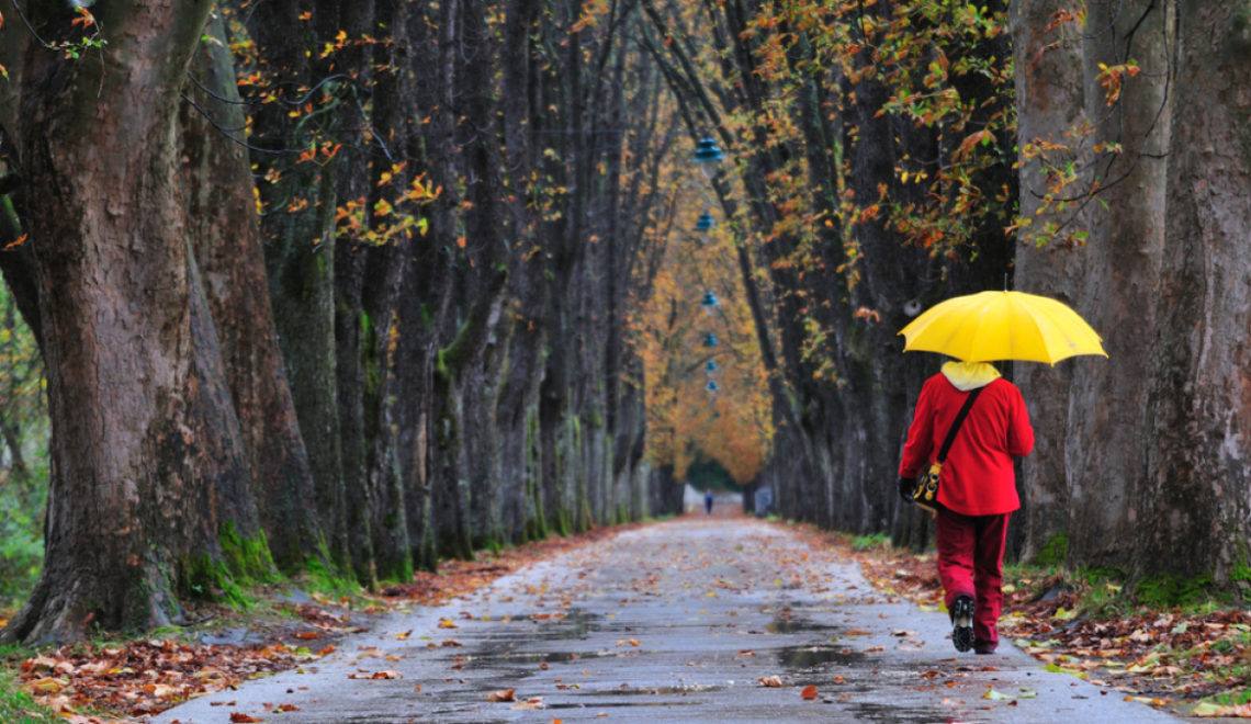 Vremea se schimbă radical în România: de la 28 de grade, la răcire și ploi. Prognoza meteo pe următoarele două săptămâni